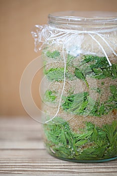 Spruce sprouts syrup - making of