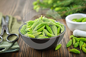 Spruce tips in a bowl, mortar of fir buds and needles, twigs of fir tree on wooden table