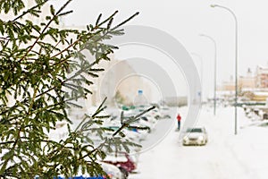 Spruce tree against a snowy street, along the parking lot a white car and pedestrian in red are moving, selective focus