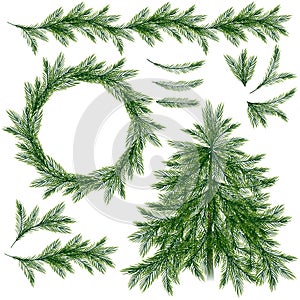 Spruce tree, branches, wreath and border isolated on wite background