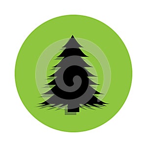 spruce tree in green badge icon