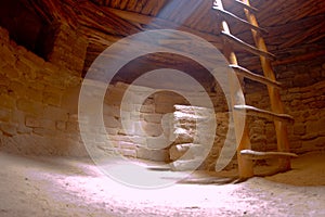 Spruce tree house kiva