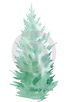 Spruce tree on an isolated white background. Watercolor illustrations