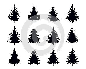 Spruce Trees. Winter season design elements and simply pictogram. Isolated vector Christmas Tree Icons and Illustration