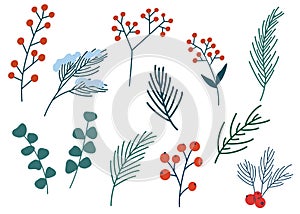 Spruce twig, berries and cones set. Winter plants. Christmas foliage twigs branches red berries. Pine, spruce, fir tree branches