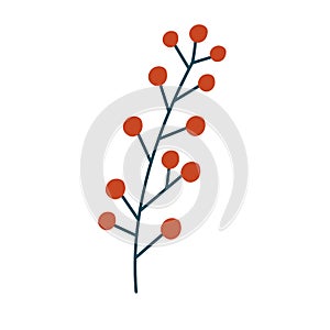 Spruce twig, berries and cones. Winter plants. Christmas foliage twigs branches red berries. Pine, spruce, fir tree branches and