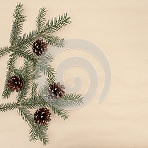 Spruce twigs with brown cones