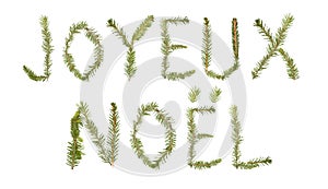 Spruce twigs forming the phrase 'Joyeux Noel' photo