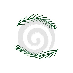 Spruce twigs. Two pine branches. Vector isolated