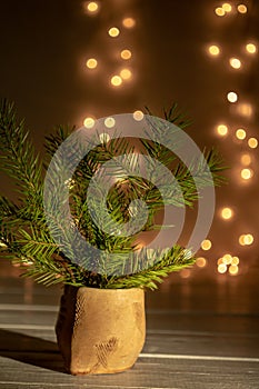 Spruce twigs in a vase on a dark bokeh background. Holiday atmosphere and copy space.