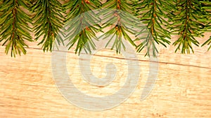 Spruce twigs on wooden background frame