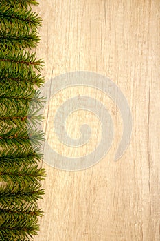 Spruce twigs on wooden background frame