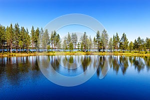 Spruces on a narrow isthmus and their reflections on lake SeitenjÃÂ¤rvi, Finland photo