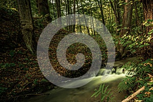 Spruit in forest. Long exposure. photo