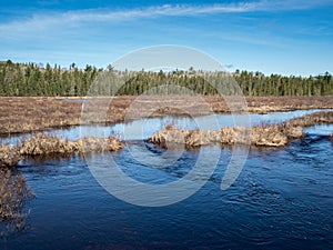 Spuce Bog Boardwalk