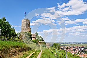 Spur castle ruin called Wachtenburg in Wachenheim in Rhineland-Palatinate