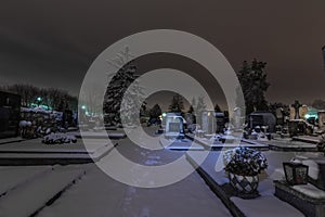 spur im schnee auf einem friedhof