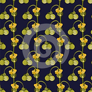 Spurge green fruits seamless pattern on black background stock vector illustration