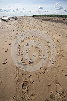 Spurn Point Humber Estuary