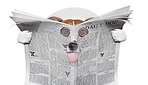 Spy dog reading a newspaper