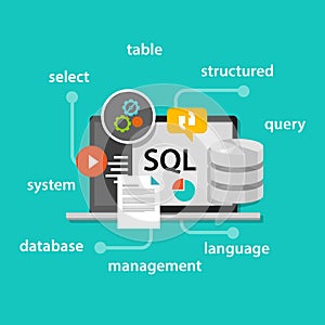 Sql structured query language database symbol vector illustration concept