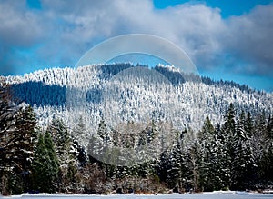 Squak Mountain with snow-covered trees and lake