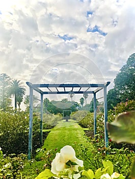 Square arch in the rose garden. Vertical photo image.