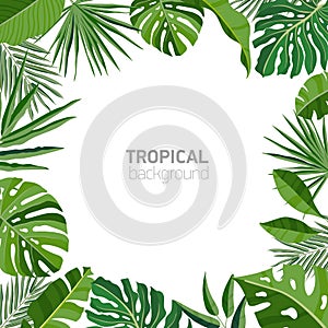 Square backdrop or background with frame or border made of green luxuriant tropical foliage or exotic leaves of