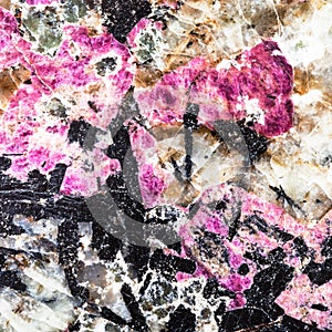 Square background from eudialyte and aegirine photo