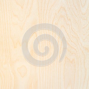 square background from natural birch plywood