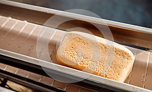 Square baked breads on conveyor automatic production line bakery from hot oven, top view