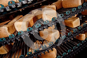 Square baked breads on conveyor automatic production line bakery from hot oven, top view