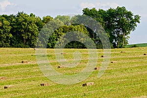 Square Bale Checkerboard