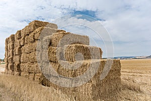 Many stacked hay bales on a harvested field