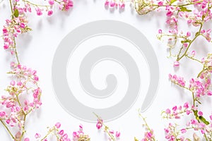 Square border frame with pink flower , branches and leaves isolated on white background with copy space. flat lay, top view