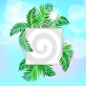 Square card with palm leaves