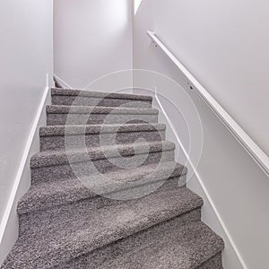 Square Carpeted stairs with wall-mounted white handrailing upstairs