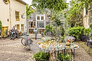 Square in the center of Alkmaar. netherlands holland