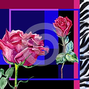 Square composition, design with roses and zebra skin