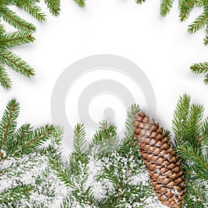 Square composition with fir twigs and cone