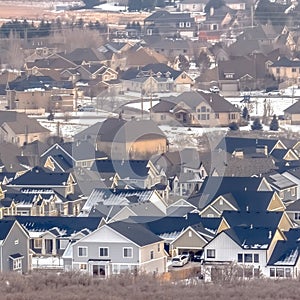 Square crop Houses in Alpine Utah neighborhood amid snowy hill and abundant trees in winter photo