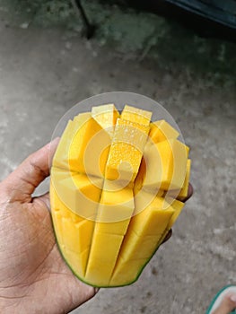 Square cuts for sweet mangoes and yellow to orange ones