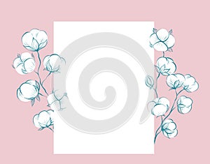 Square delicate card with sketches of cotton plant and stems, copy space on pink background. Vector gentle outline herbal template