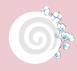 Square delicate card with sketches of cotton plant and stems, round copy space on pink background. Vector gentle outline herbal
