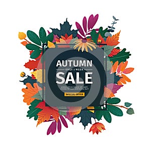 Square design banner with autumn sale logo. Discount card for fall season with white frame and herb. Promotion offer photo