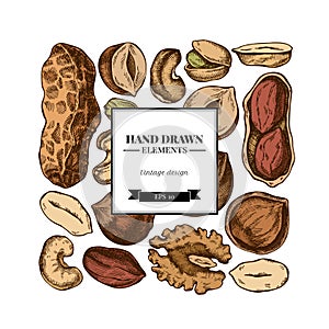 Square design with colored cashew, peanut, pistachio, hazelnut, almond, walnut