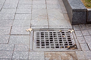 Square drainage grate of urban infrastructure.