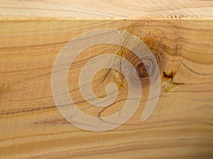 A square-edge piece of pine with wood burly grain knot.