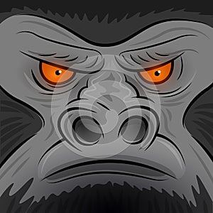 Square Faced Gorilla Ape