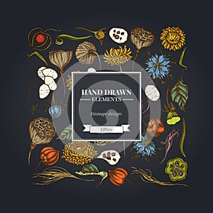 Square floral design on dark background with black caraway, feather grass, helichrysum, lotus, lunaria, physalis